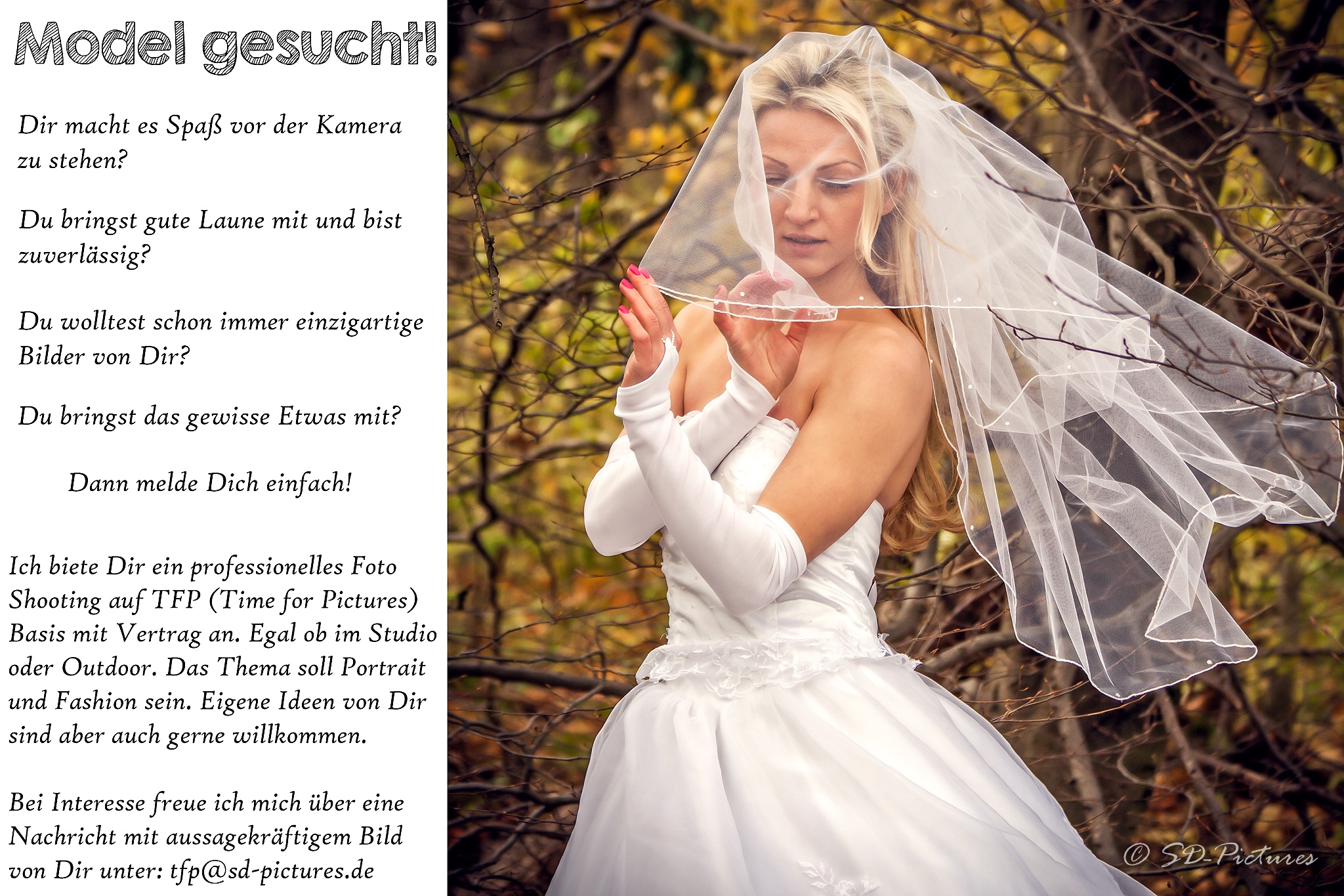 WEB TFP Kopie